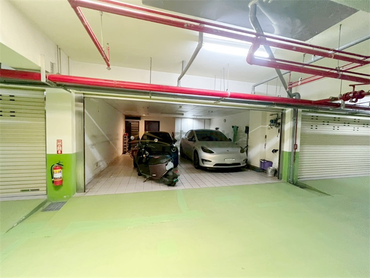 大埔商圈榮耀磐石雙車位別墅房屋室內格局與周邊環境