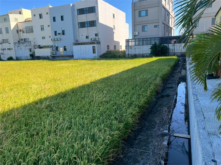秀水黃昏市場旁農地附廠房房屋室內格局與周邊環境