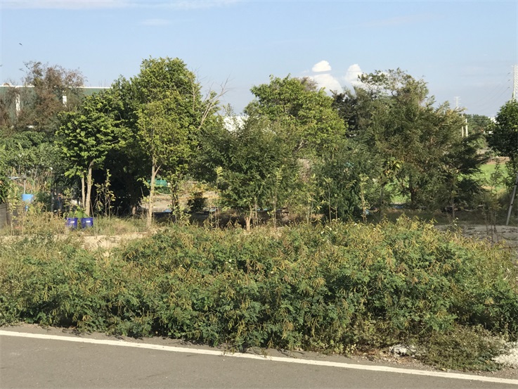 秀水都計內田+建房屋室內格局與周邊環境
