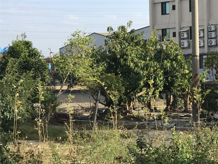 秀水都計內田+建房屋室內格局與周邊環境