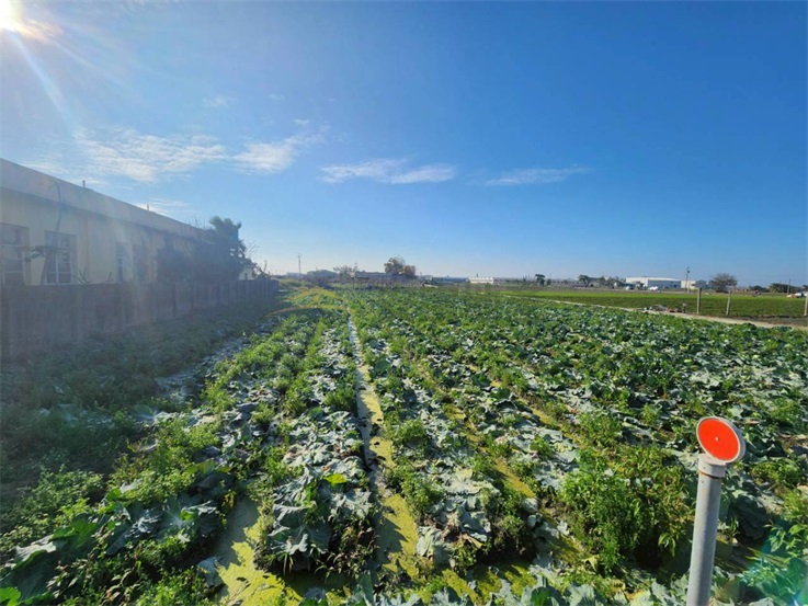 埔鹽永樂國小旁百坪建地房屋室內格局與周邊環境