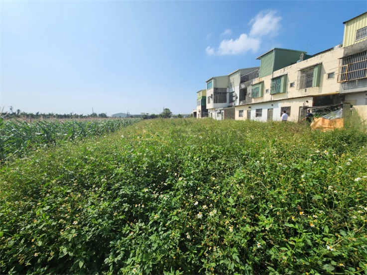 芳苑運動公園附近建地房屋室內格局與周邊環境