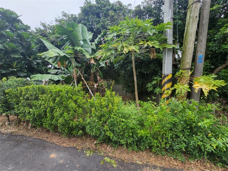 芬園大彰路旁乙建房屋室內格局與周邊環境