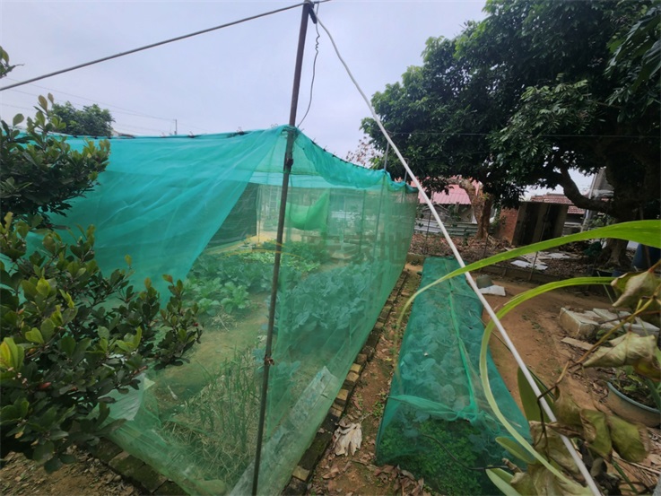 芬園大彰路旁乙建房屋室內格局與周邊環境