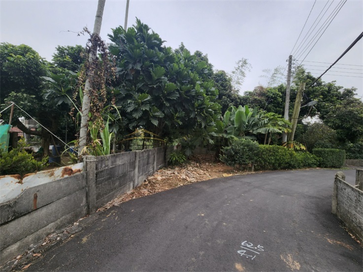 芬園大彰路旁乙建房屋室內格局與周邊環境