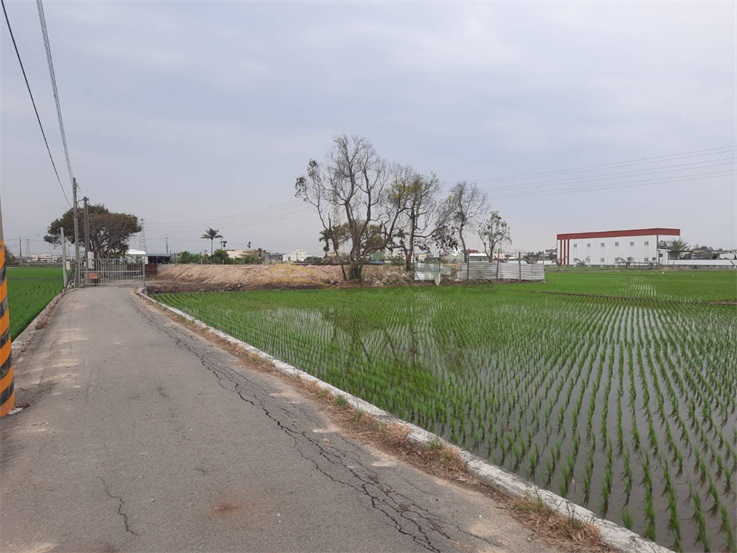 花壇彰花路口庄田+建房屋室內格局與周邊環境