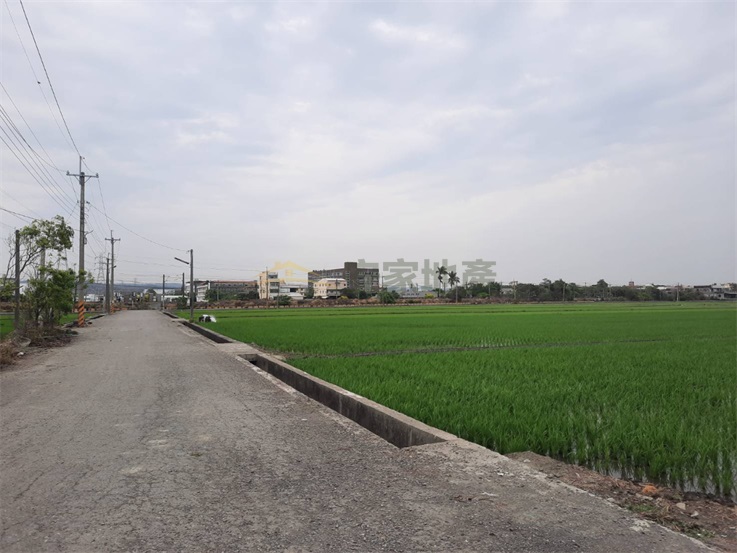 花壇彰花路口庄田+建房屋室內格局與周邊環境