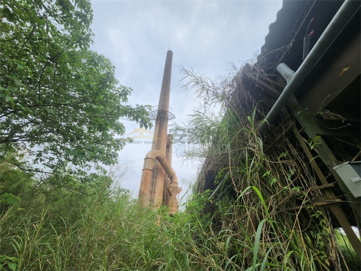 花壇三家段農+丁建房屋室內格局與周邊環境