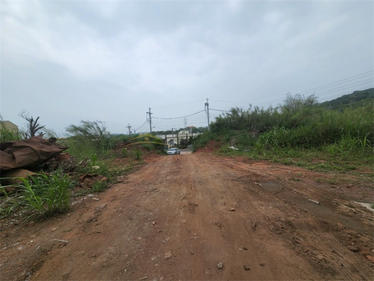 花壇三家段農+丁建房屋室內格局與周邊環境