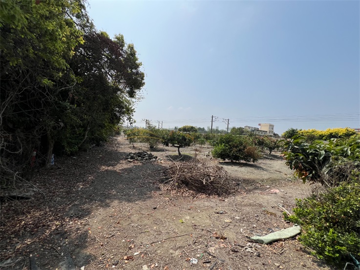 花壇全金墩最便宜美田房屋室內格局與周邊環境