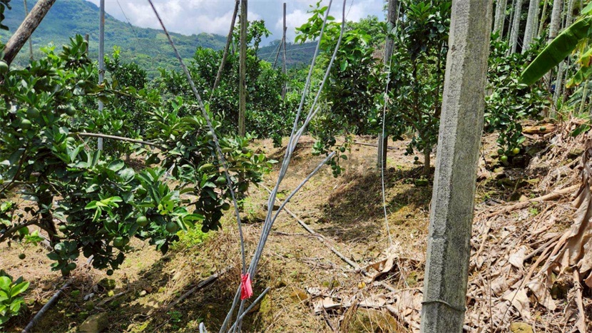 南投中寮6分農牧用地有鐵皮屋房屋室內格局與周邊環境