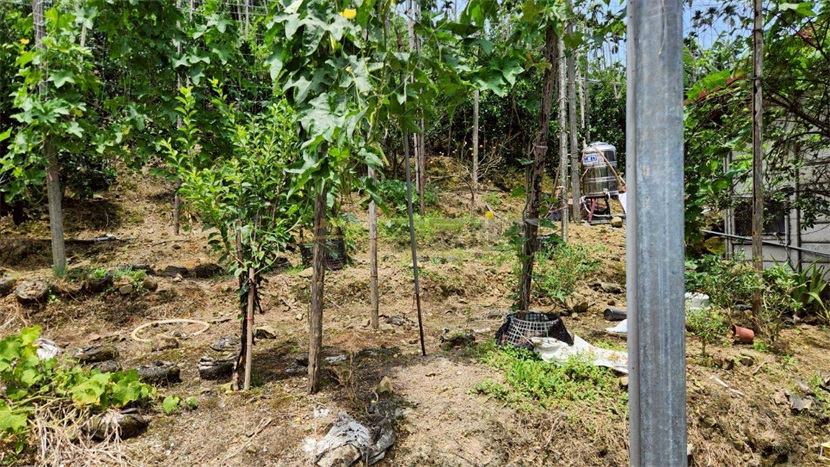 南投中寮6分農牧用地有鐵皮屋房屋室內格局與周邊環境