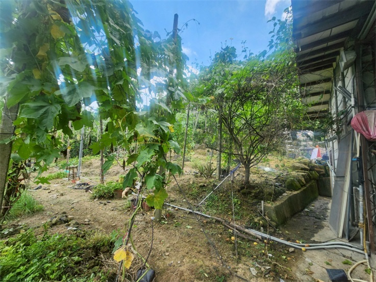 南投中寮6分農牧用地有鐵皮屋房屋室內格局與周邊環境