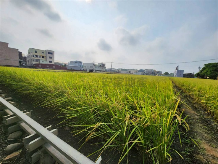 大肚區福山里美田房屋室內格局與周邊環境