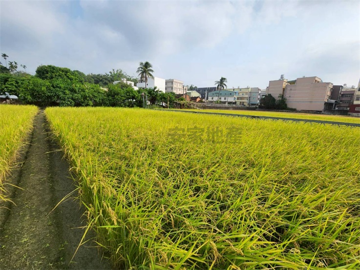 大肚區福山里美田房屋室內格局與周邊環境