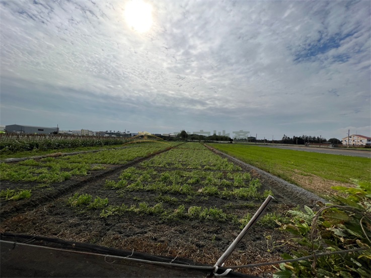 秀水明正國小後方美田房屋室內格局與周邊環境