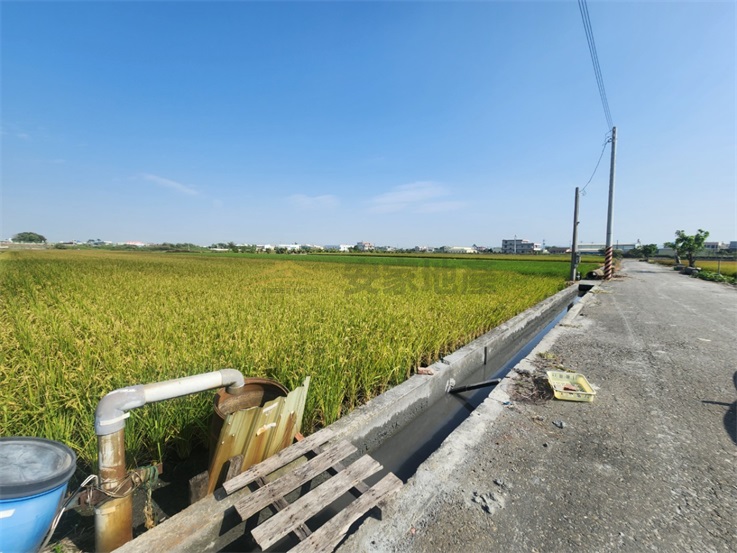 秀水有水有電方正2.2分田房屋室內格局與周邊環境