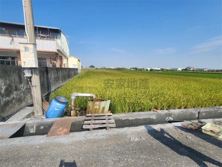 秀水有水有電方正2.2分田房屋室內格局與周邊環境
