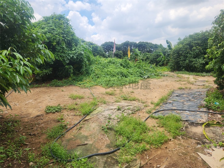 百果山1.8分方正農地房屋室內格局與周邊環境