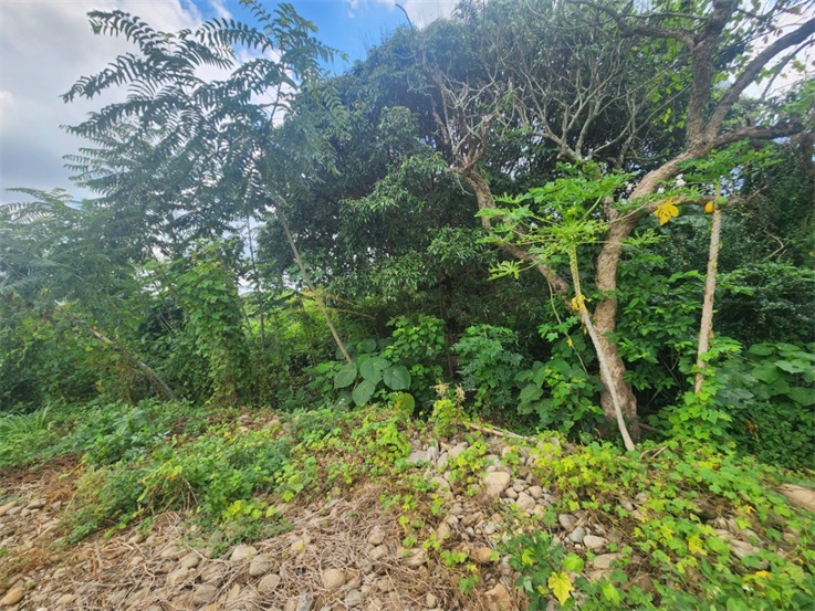 百果山1.8分方正農地房屋室內格局與周邊環境
