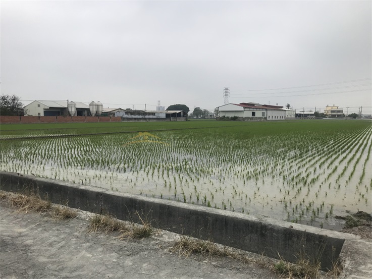 花壇彰花路都計美田房屋室內格局與周邊環境