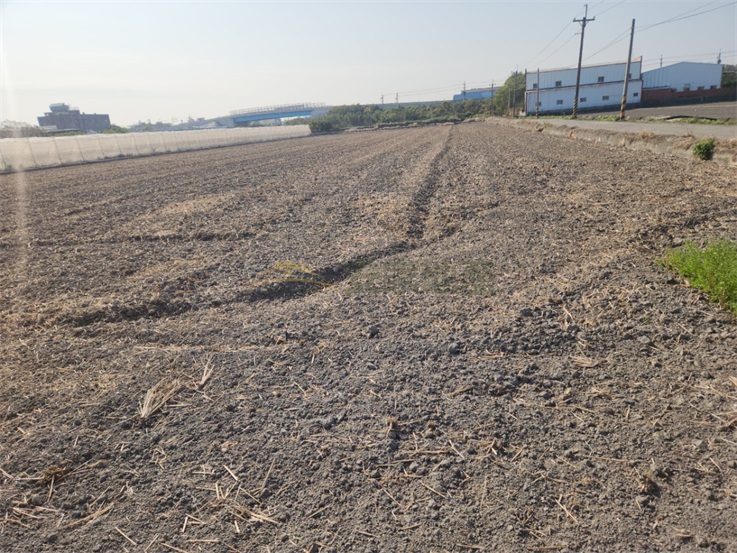 花秀路一彎都內1.5分田房屋室內格局與周邊環境