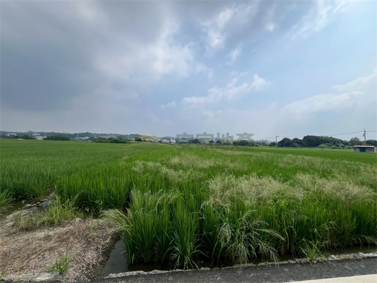 花壇近大埔截水溝美田房屋室內格局與周邊環境