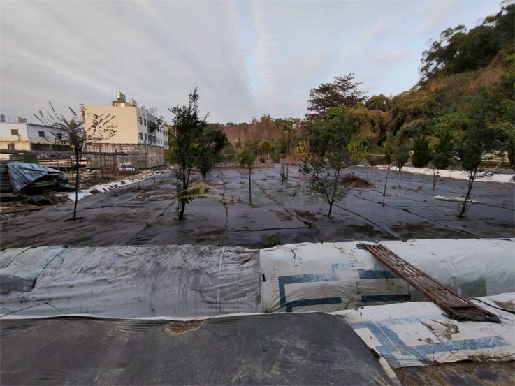 花壇近大埔商圈農地房屋室內格局與周邊環境