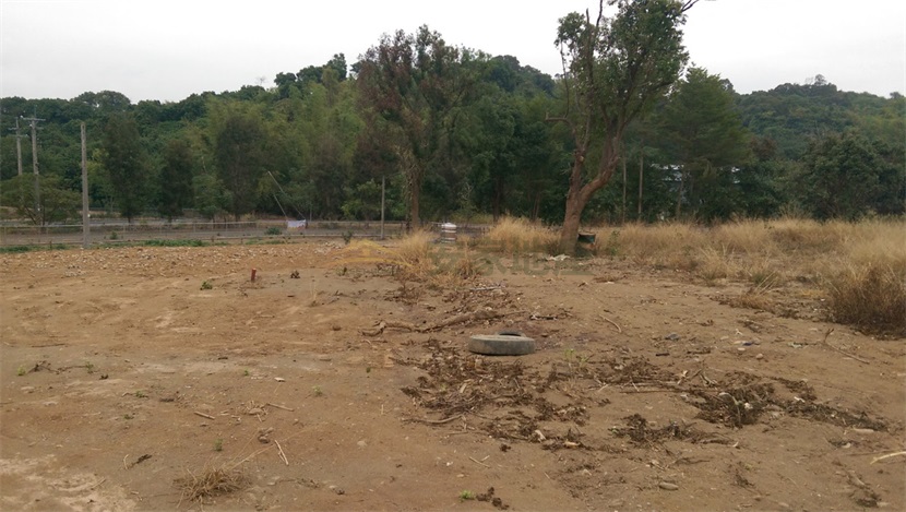 台灣民俗村三芬路農牧用地+建地房屋室內格局與周邊環境