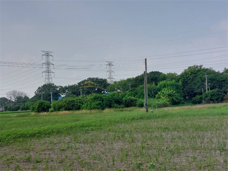 大肚溪棒球場對面聖安路農地房屋室內格局與周邊環境