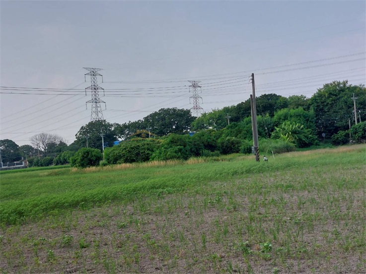 大肚溪棒球場對面聖安路農地房屋室內格局與周邊環境