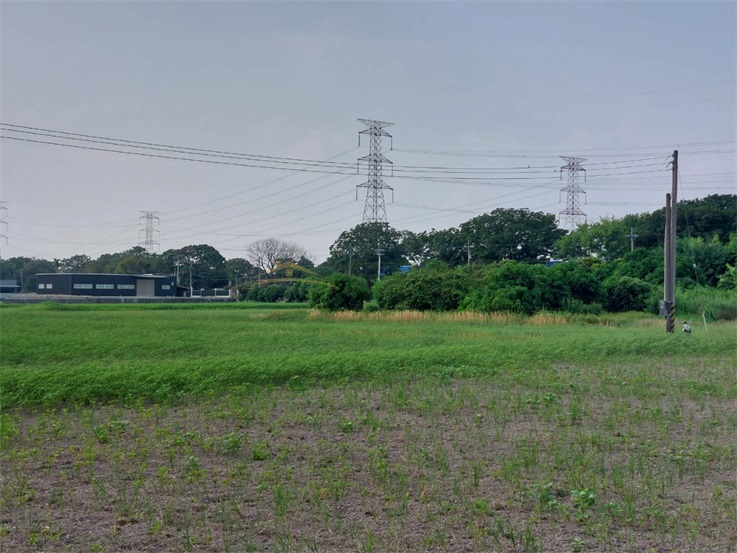 大肚溪棒球場對面聖安路農地房屋室內格局與周邊環境