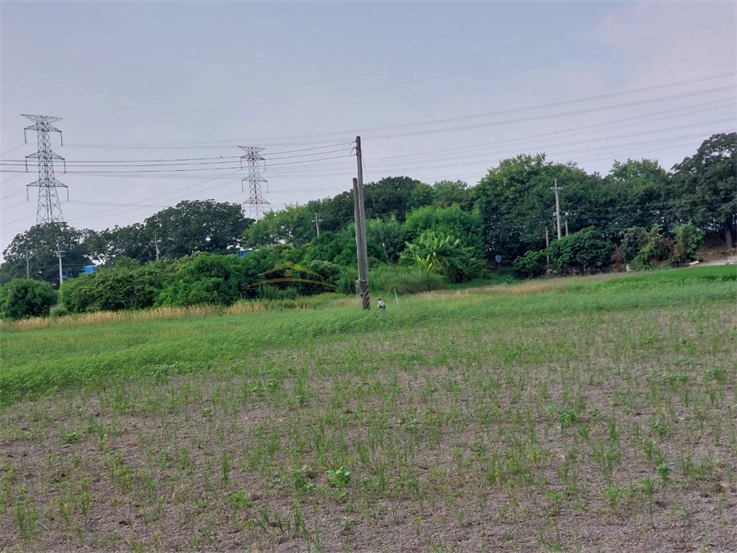 大肚溪棒球場對面聖安路農地房屋室內格局與周邊環境