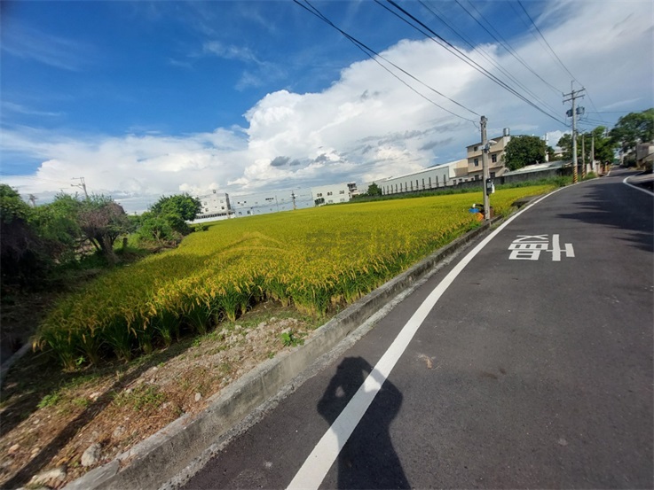 三面臨路正馬鳴路大面寬美田房屋室內格局與周邊環境