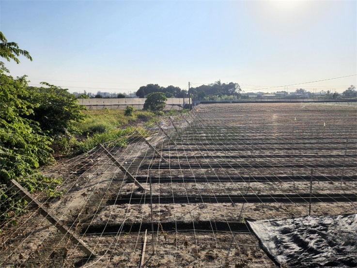 埔心正東西向田園農地房屋室內格局與周邊環境