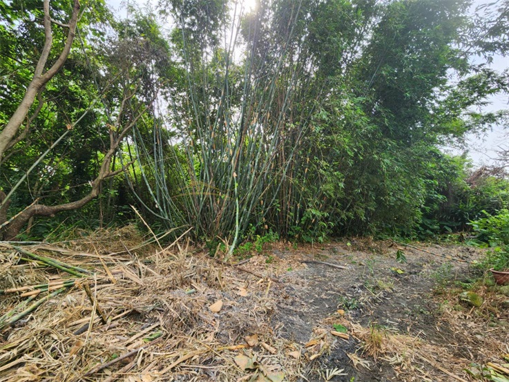 南投市南崗工業區都內田房屋室內格局與周邊環境