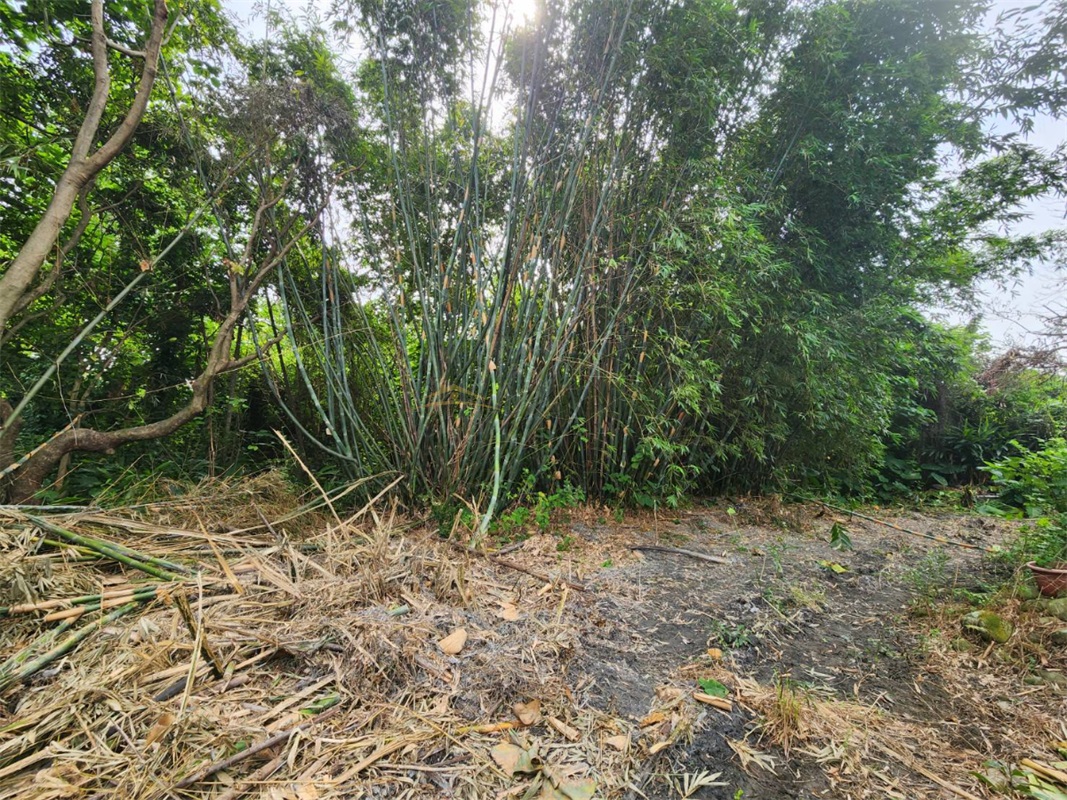 南投市南崗工業區都內田房屋室內格局與周邊環境