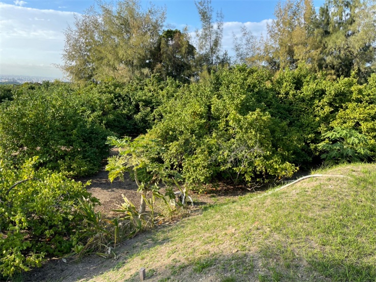 花壇福岩段農牧用地房屋室內格局與周邊環境