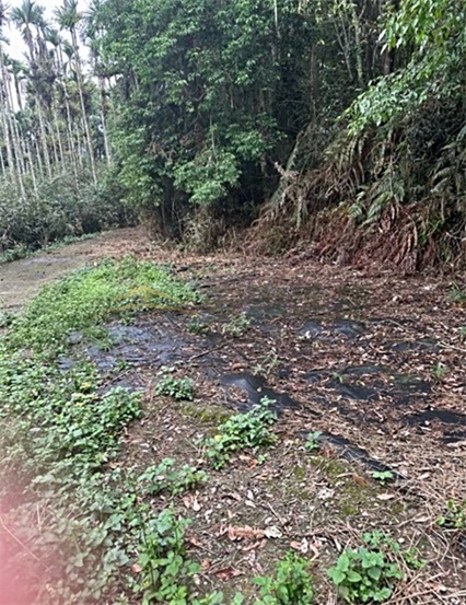 近日月潭1.4甲林地房屋室內格局與周邊環境