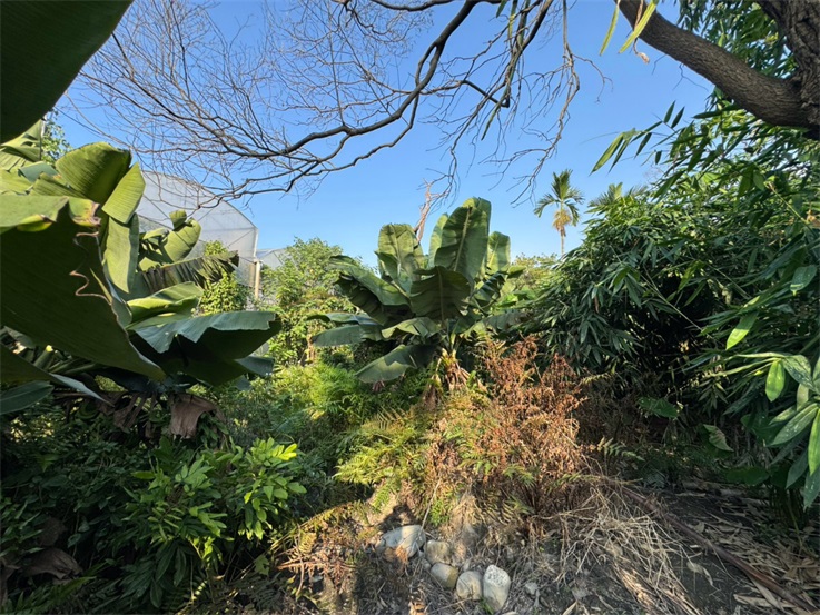 林內自來水廠旁路邊農地房屋室內格局與周邊環境